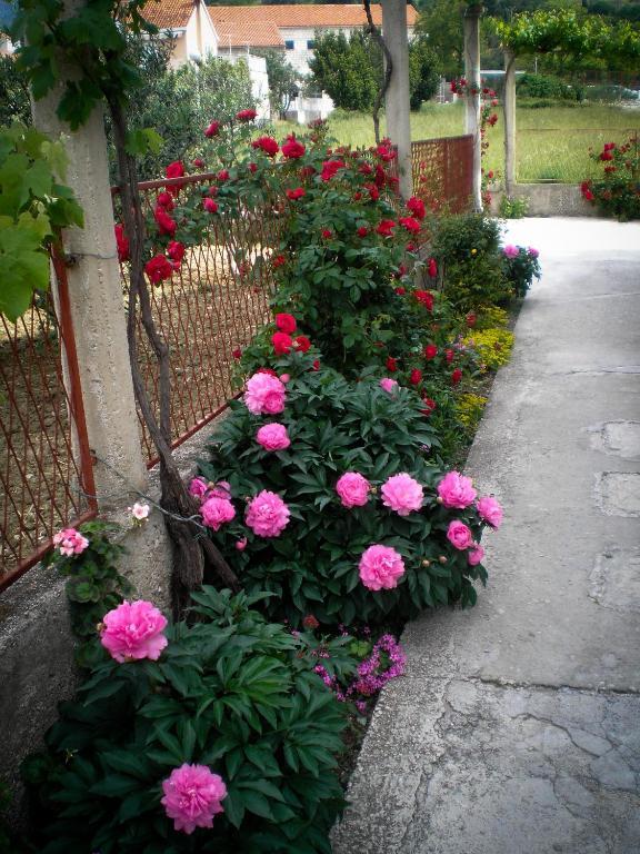Francesca Guesthouse Mlini Kültér fotó