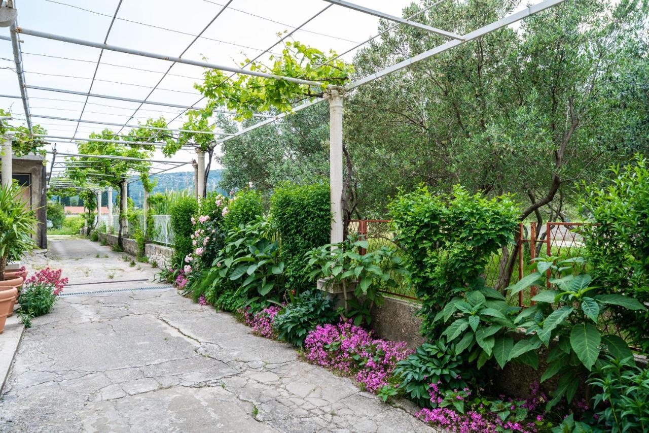 Francesca Guesthouse Mlini Kültér fotó